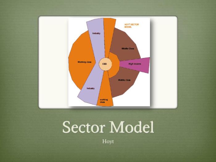 What is the sector model
