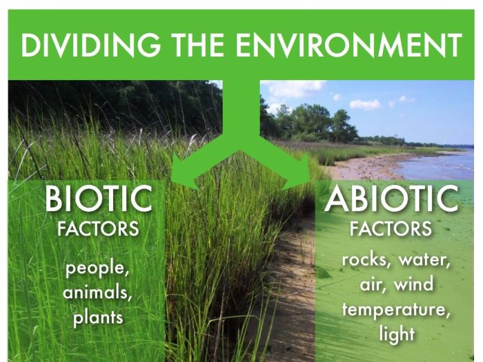 Factors biotic abiotic desert canyon grand