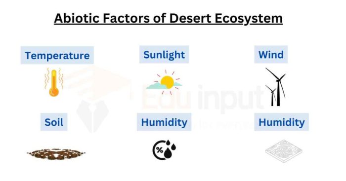 Desert biotic and abiotic factors