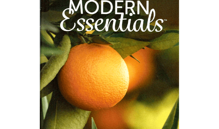 Modern essentials book 14th edition