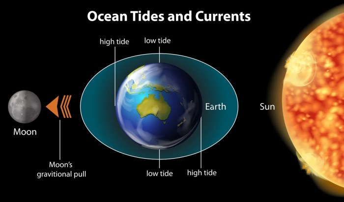 Biome ocean waves sea tides marine information facts biomes tide oceanos beach oceans para climate definition side animal surface do