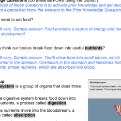 Student exploration digestive system answer key