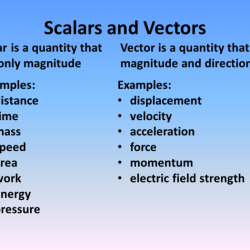 Unit 1d vectors and scalars practice problems answers