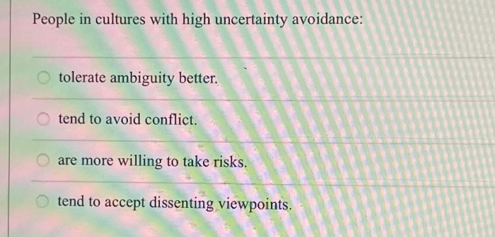 Which type of culture tolerates ambiguity and uncertainty