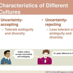 Uncertainty avoidance ambiguity foreign accepting tolerance culture