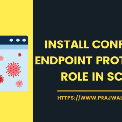 Endpoint protection software